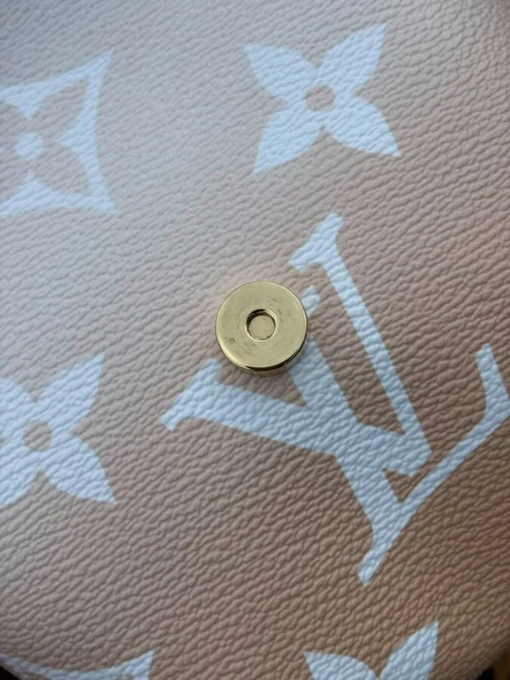 Louis Vuitton Giant Monogram By the Pool Tiny Backpack